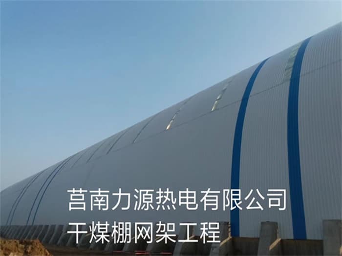 境外力源热电有限公司干煤棚网架工程