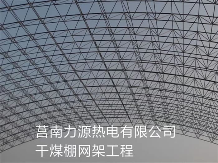 境外力源热电有限公司干煤棚网架工程