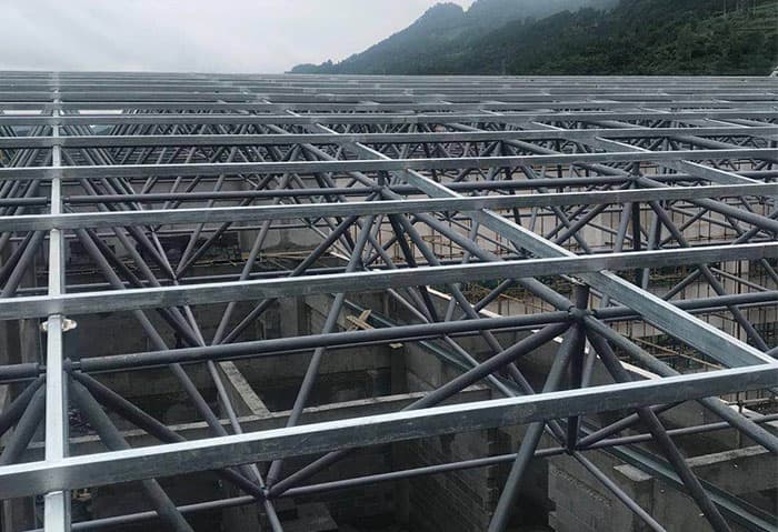 境外学校艺体楼网架